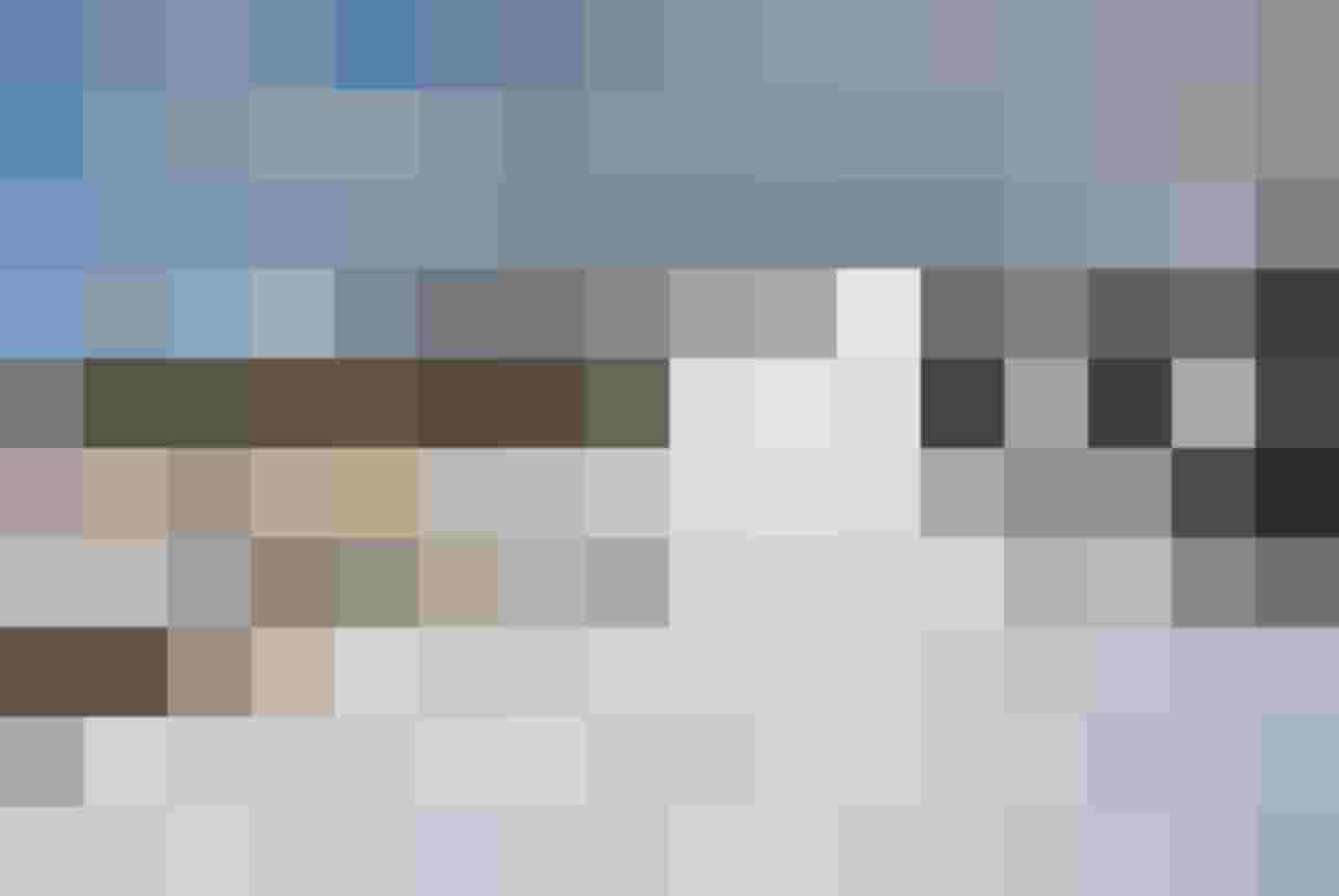 Ski