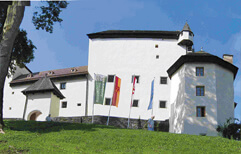 Schloss Goldegg